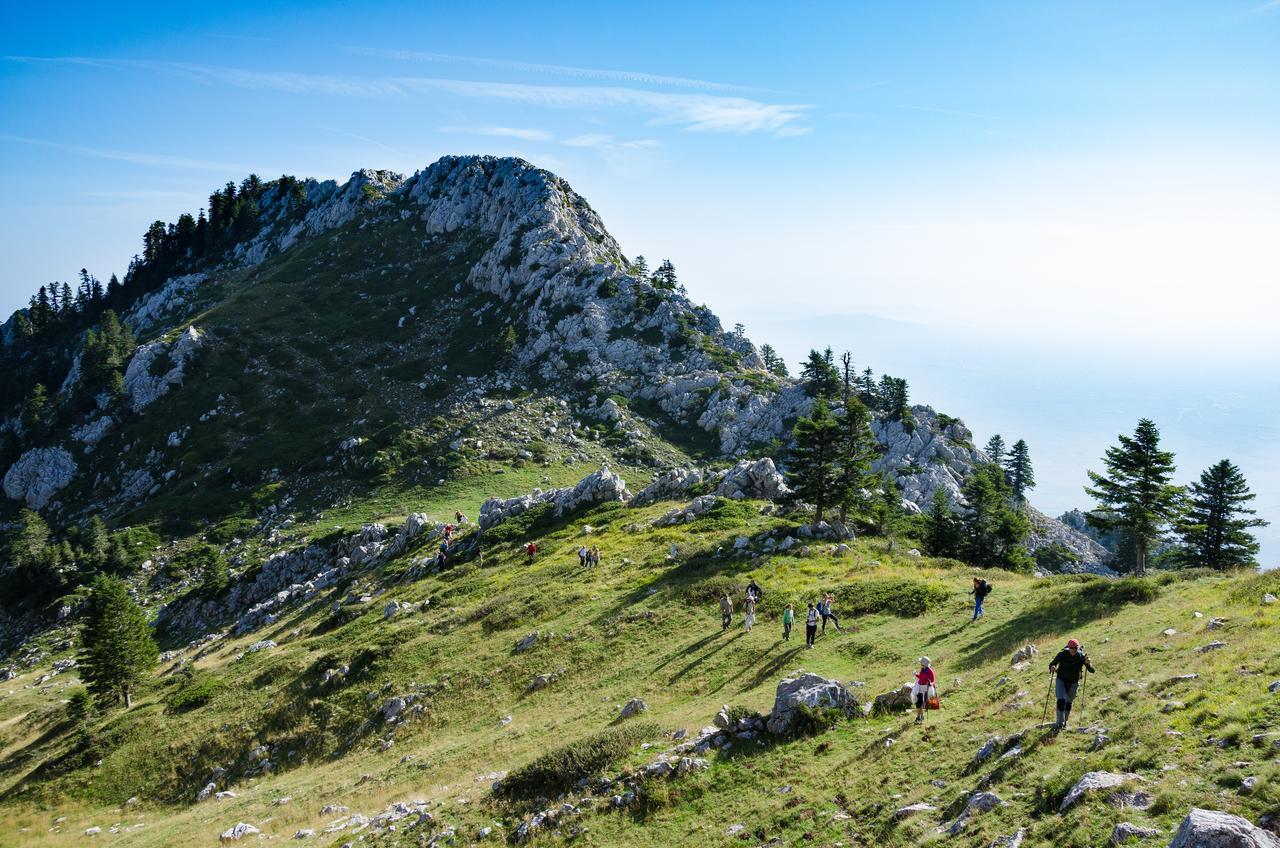 Ξενοδοχείο Κρούπη Ξενοδοχείο Ελάτη Εξωτερικό φωτογραφία